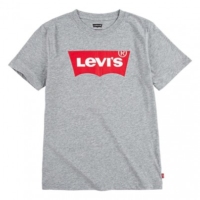 tee shirt LEVIS GREY...